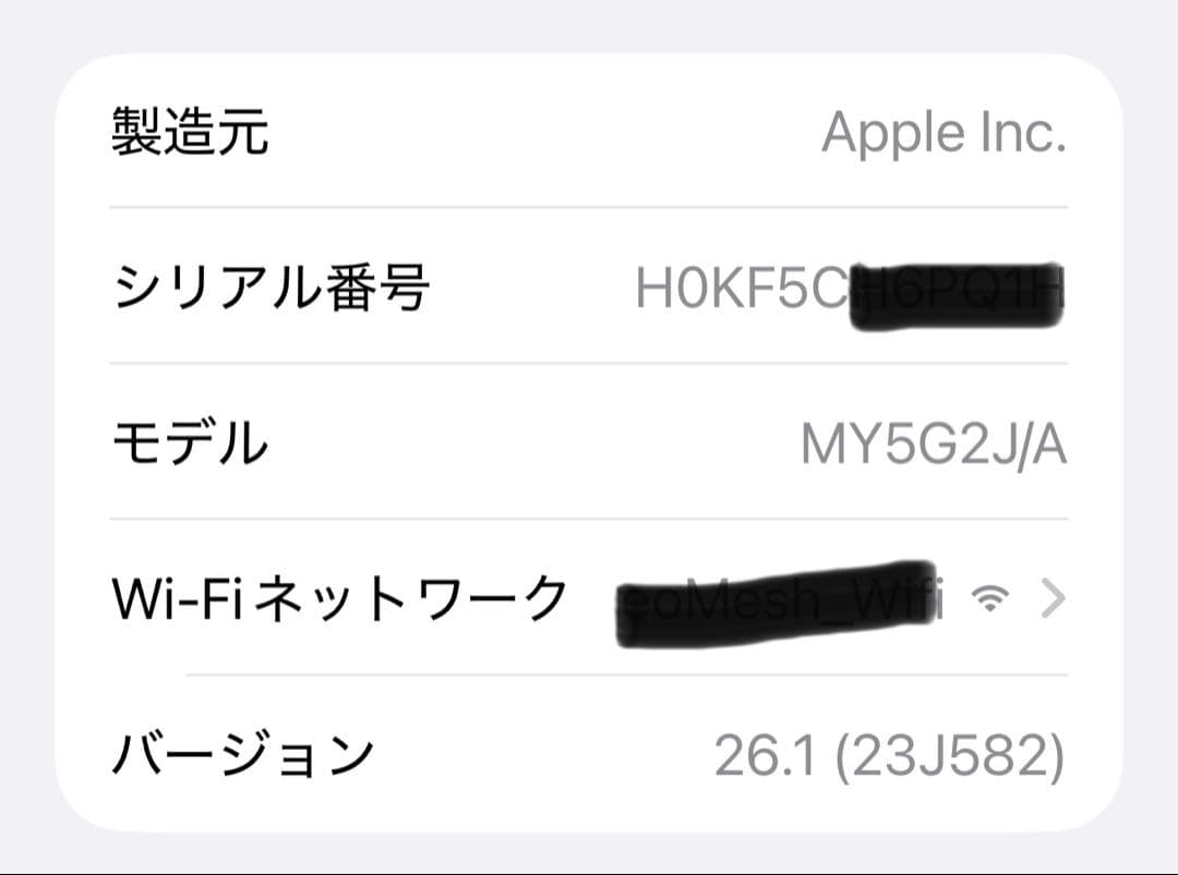 Apple Pod mini スペースグレー 2台セット