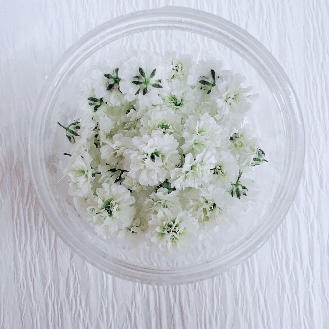 かすみ草ドライフラワー