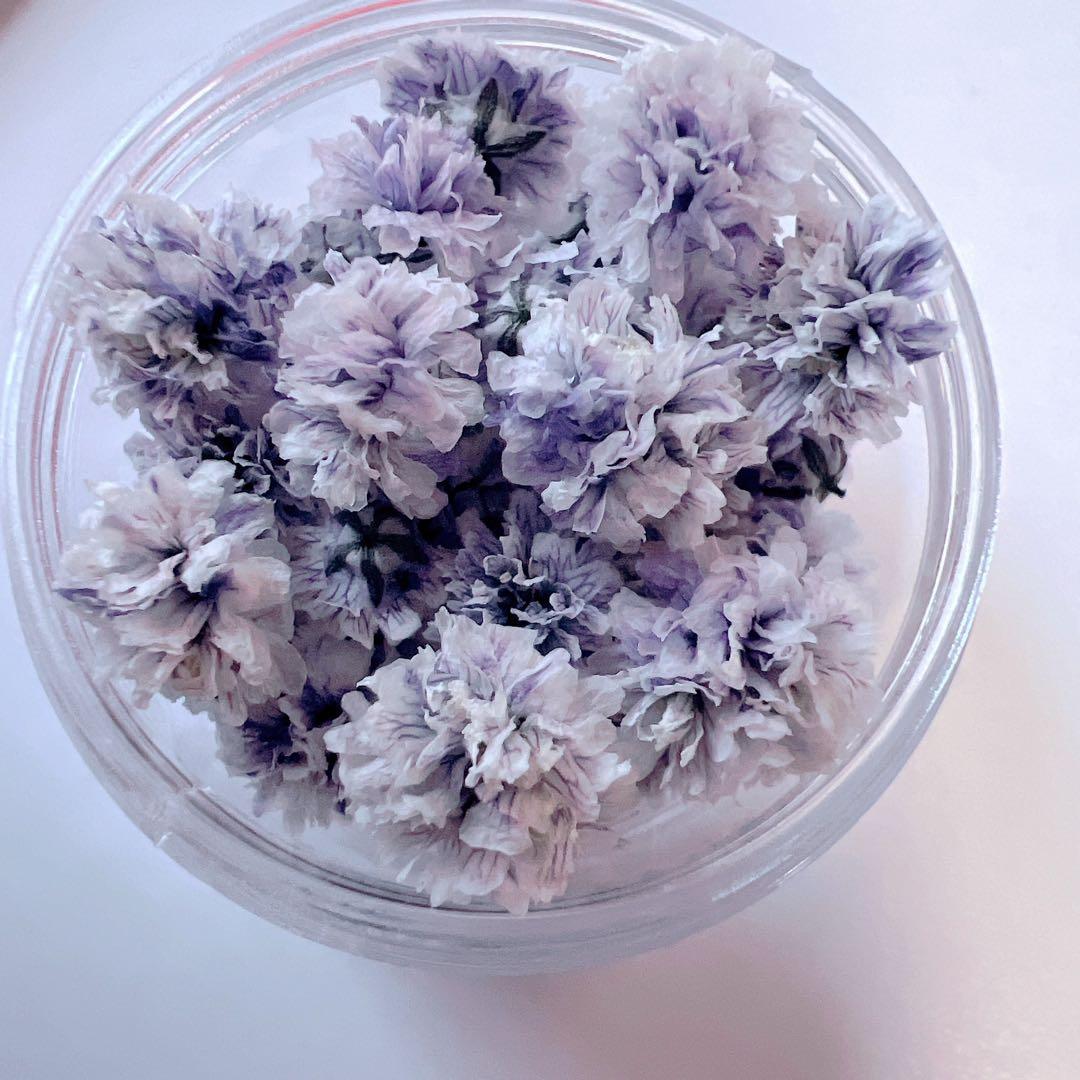 かすみ草ドライフラワー