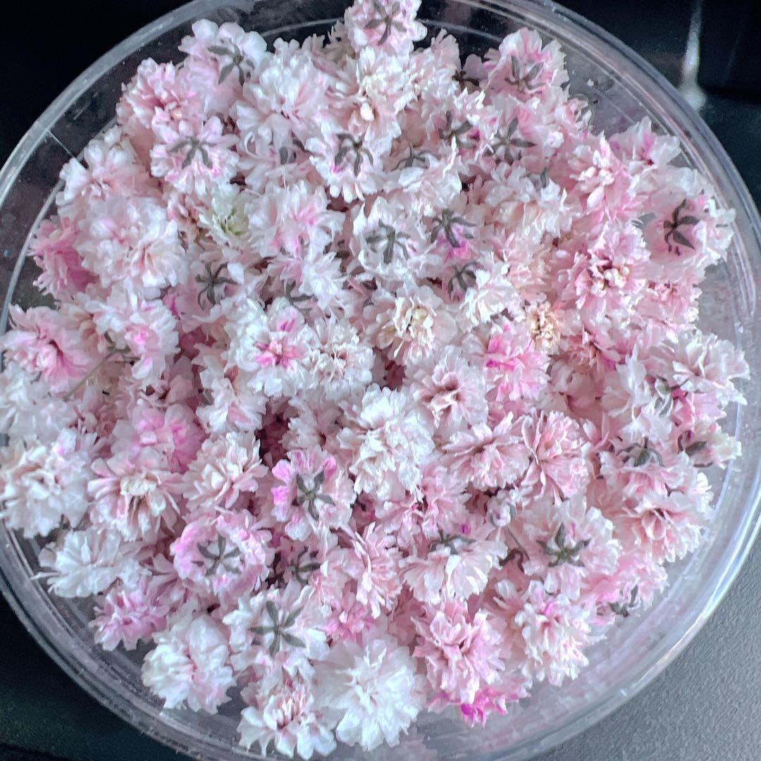 かすみ草ドライフラワー