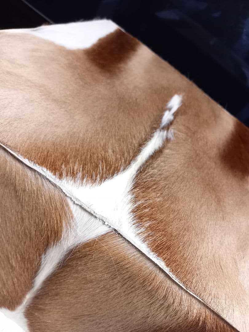 希少　メゾン　テルガス　フランス製　ガゼル　毛皮　スツール　ボックス