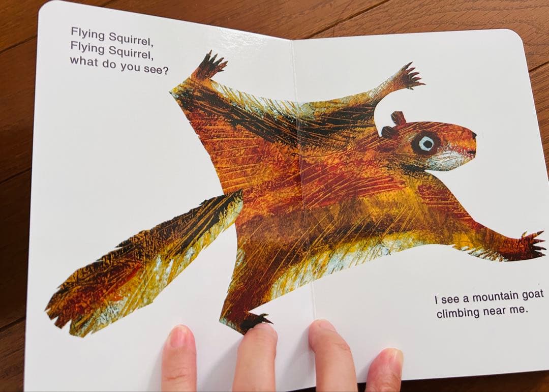 TM Eric carle/brown bear絵本セット10冊