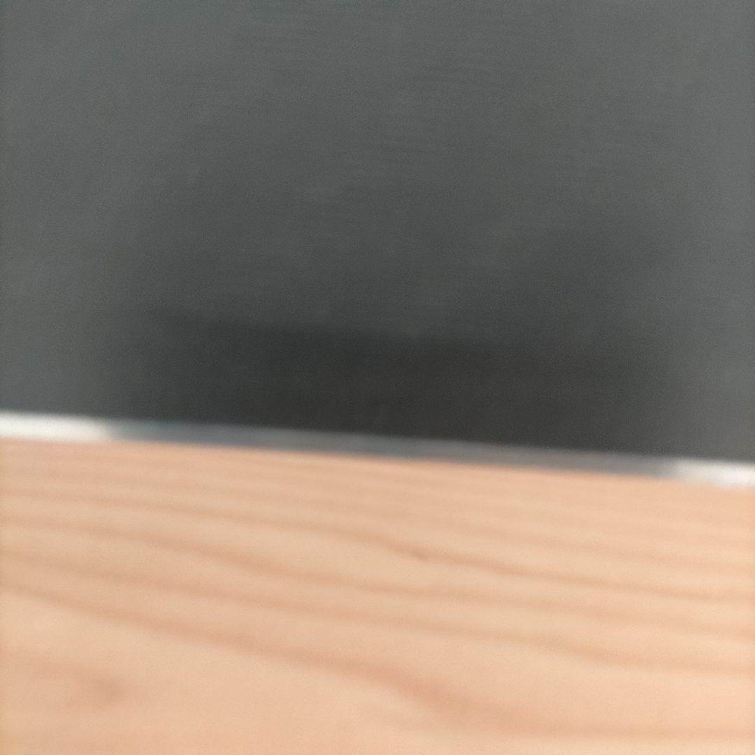 ロシニョール GS195cm LOOKビンディング