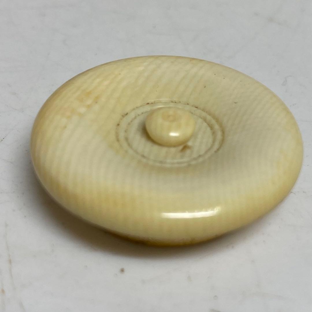 ☆茶3膳所焼 利休瀬戸写茶入 共箱　 高さ約9.5cm 東R8-0213①