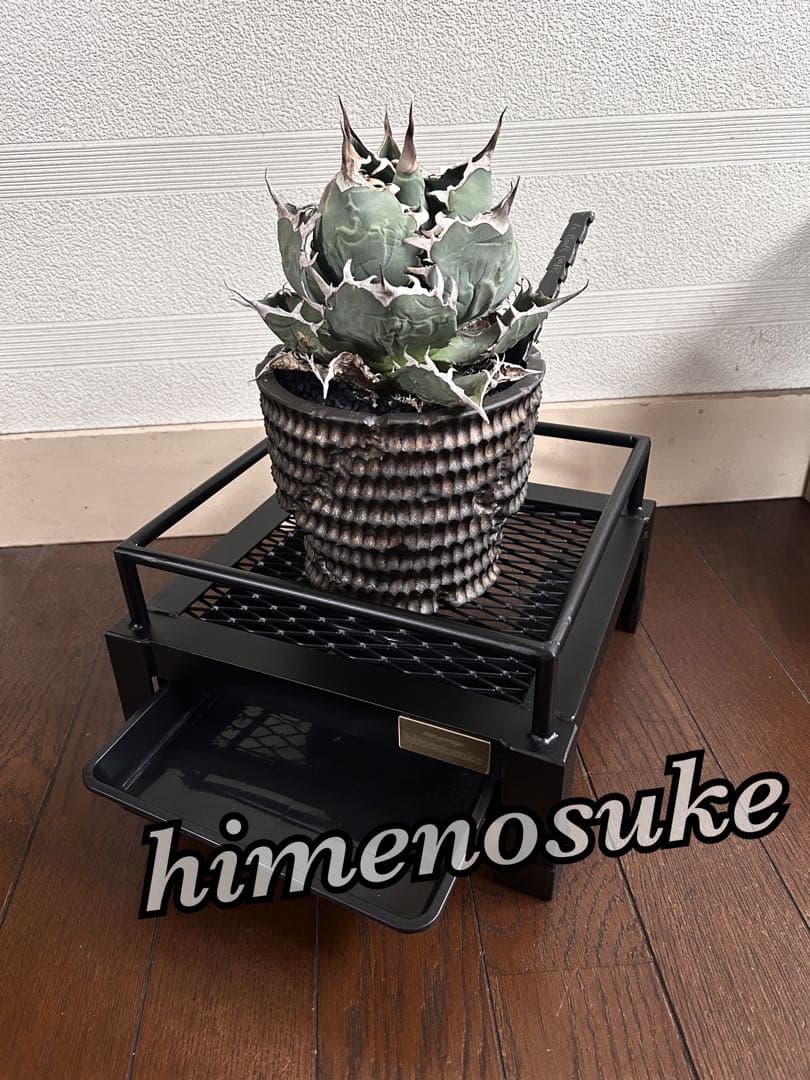 ☆送料込み☆そのまま水やり出来る植物台座　即購入OK 育成管理　アガベ　塊根
