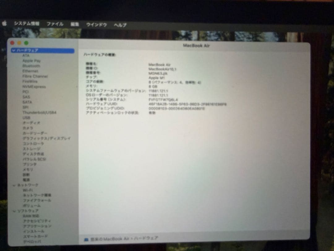 もりも