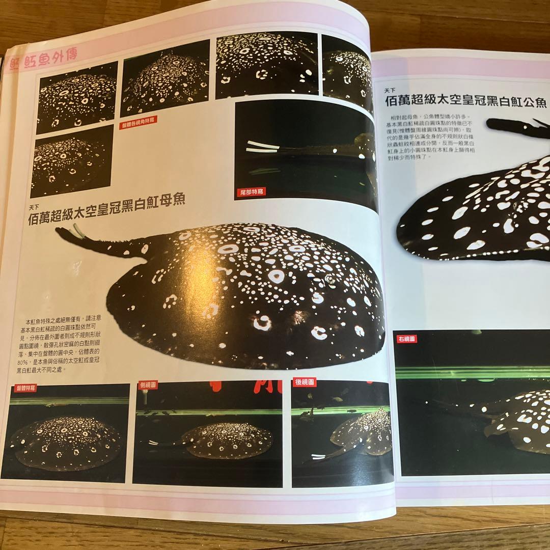 ARRAIA 淡水エイ