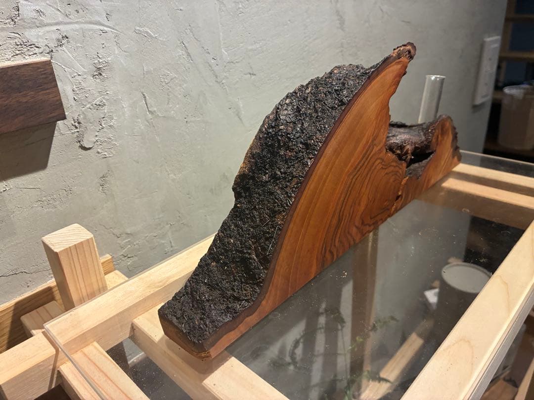 一点物 桜 無垢材 一輪挿し 花器 木工オブジェ 店舗什器 カフェ 玄関