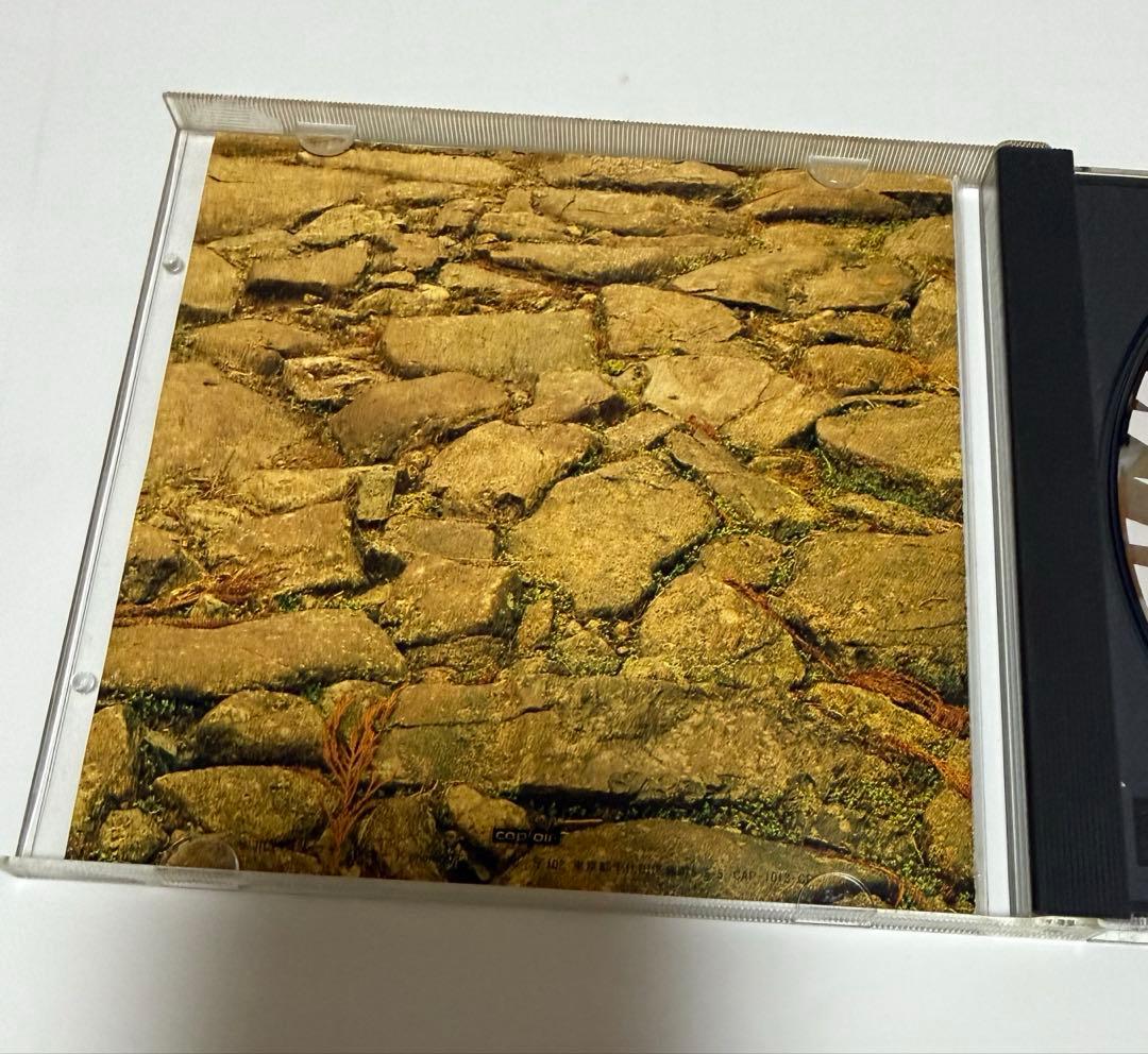 【廃盤】SCUBA P-MODEL 平沢進 三浦俊一 神尾明郎