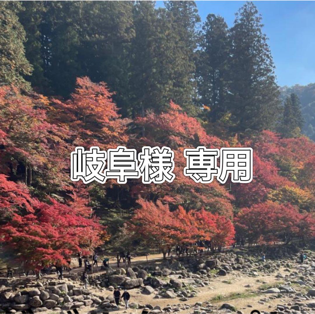 (Pampers パンツ XL ビッグ 56枚×6コ　336枚