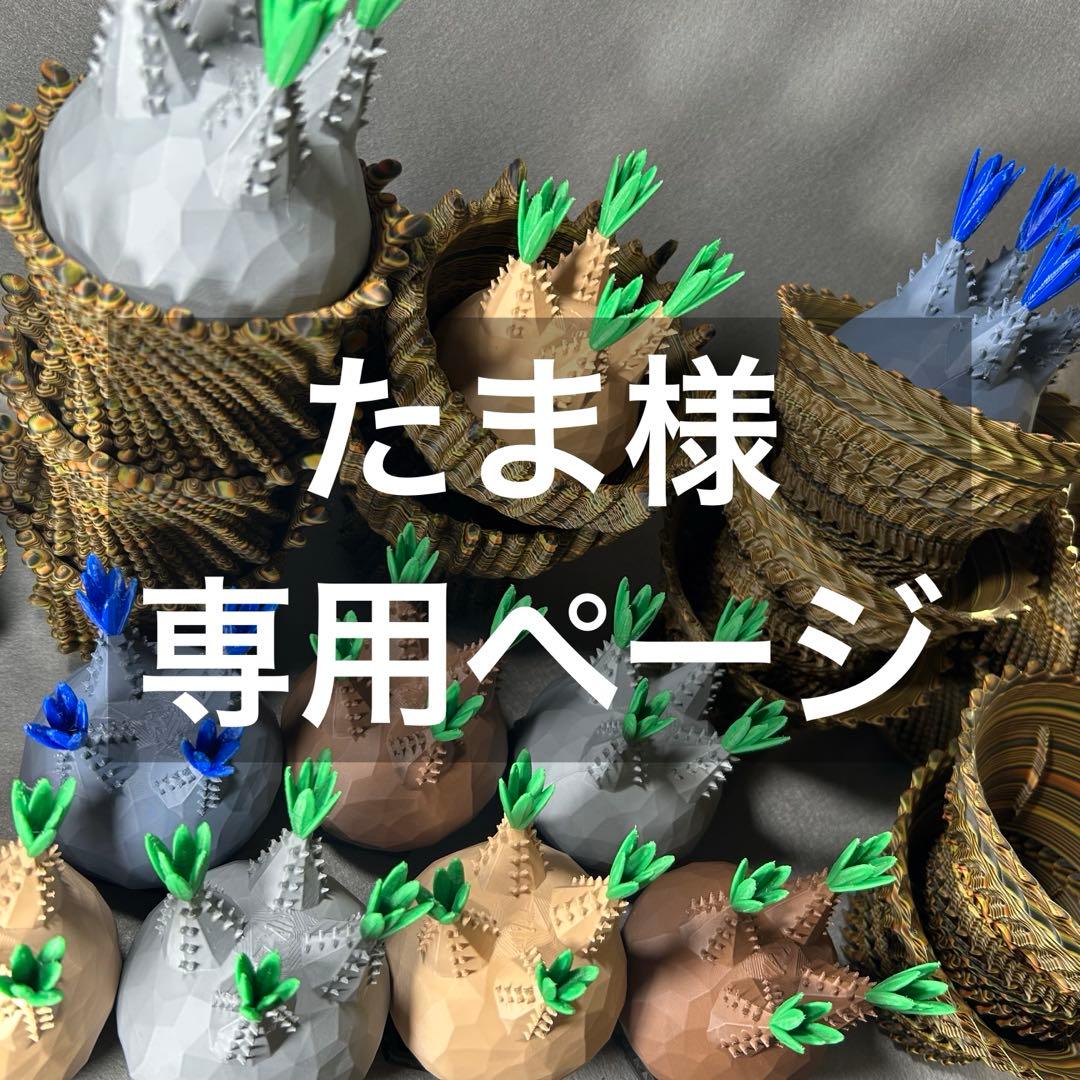 【専用ページ】［たま様］　3Dプリンター鉢　植木鉢