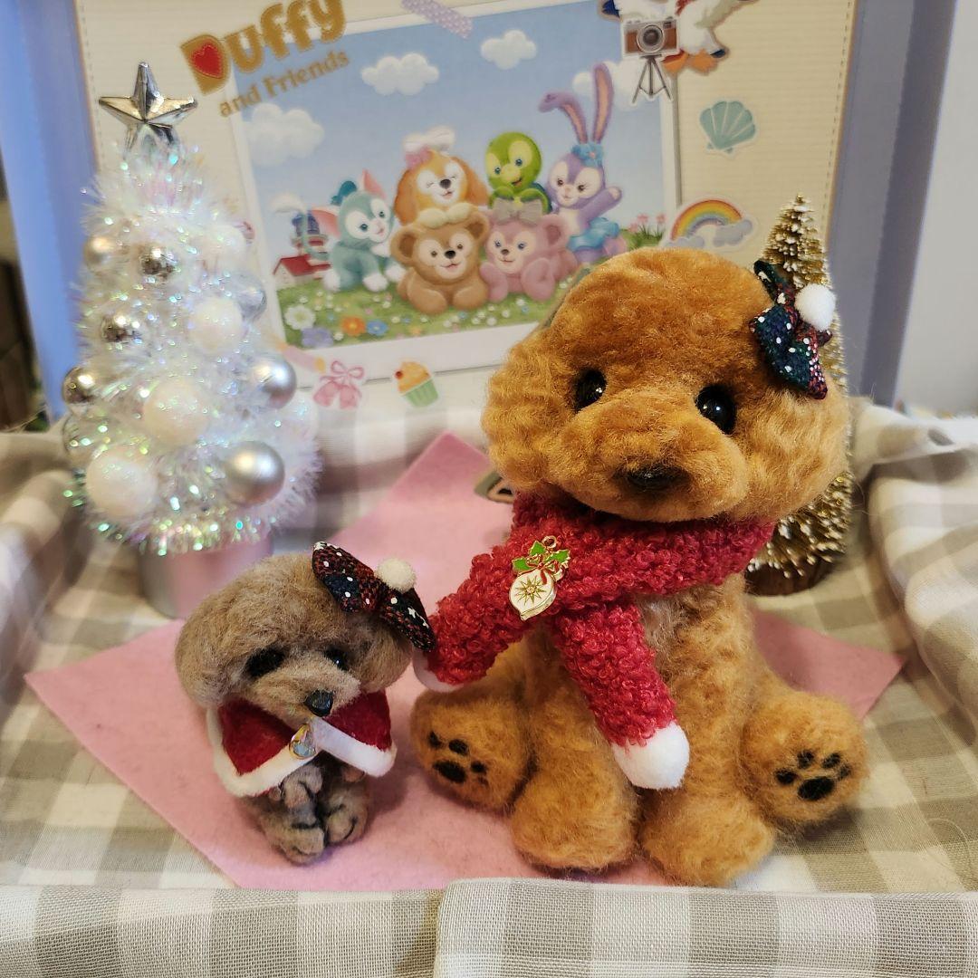 トイプードル❤️クリスマス特別価格❤️　　　　　　　　　　　　お迎え決まりました