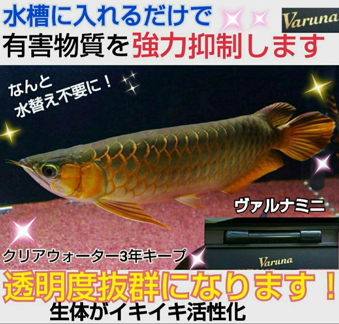 水槽の水が綺麗になる【ヴァルナ】有害物質を抑制し透明度抜群に！水槽に入れるだけ！