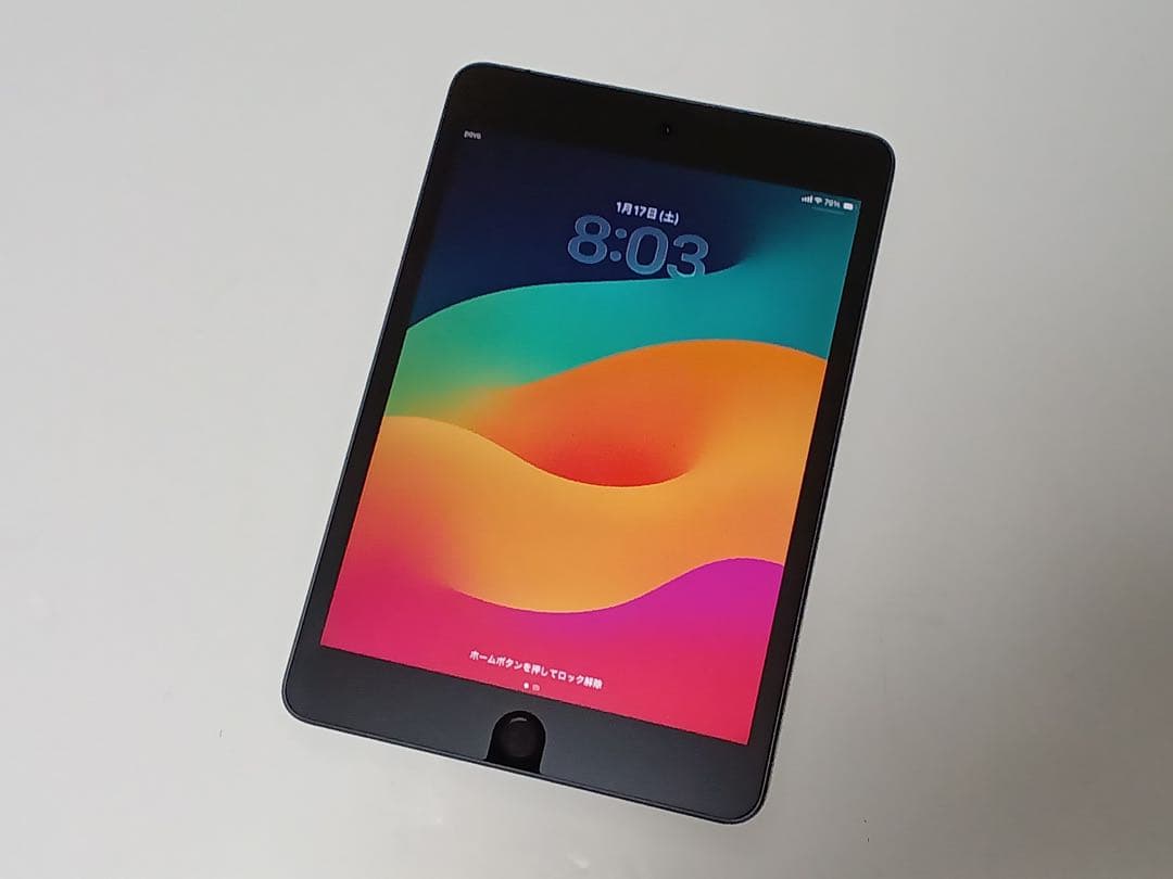 Apple iPad mini 5 / 64GB / セルラー版