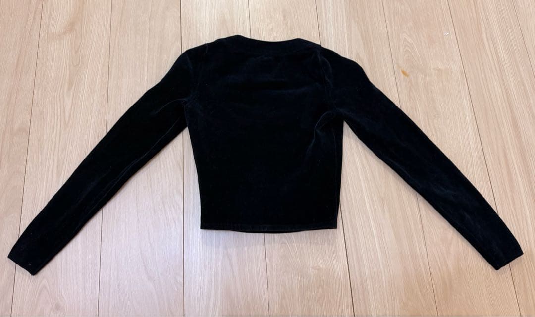 alexander Wang アレキサンダーワン ベロア　ショートトップス