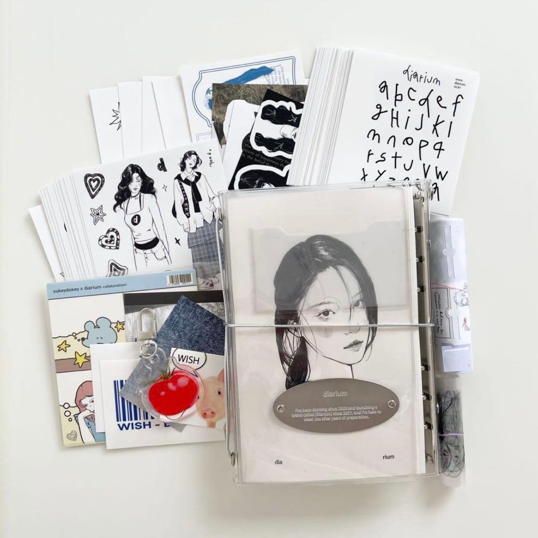 Ruine ※プロフィール必読　韓国　バインダー　貯金　リフィル