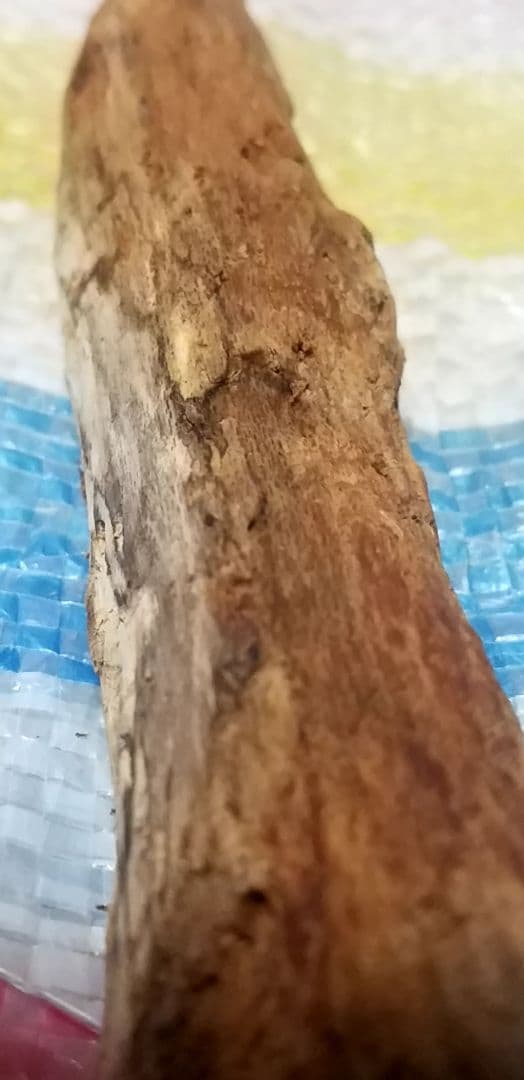 骨董品　天然　香木　伽羅原木　ラオス