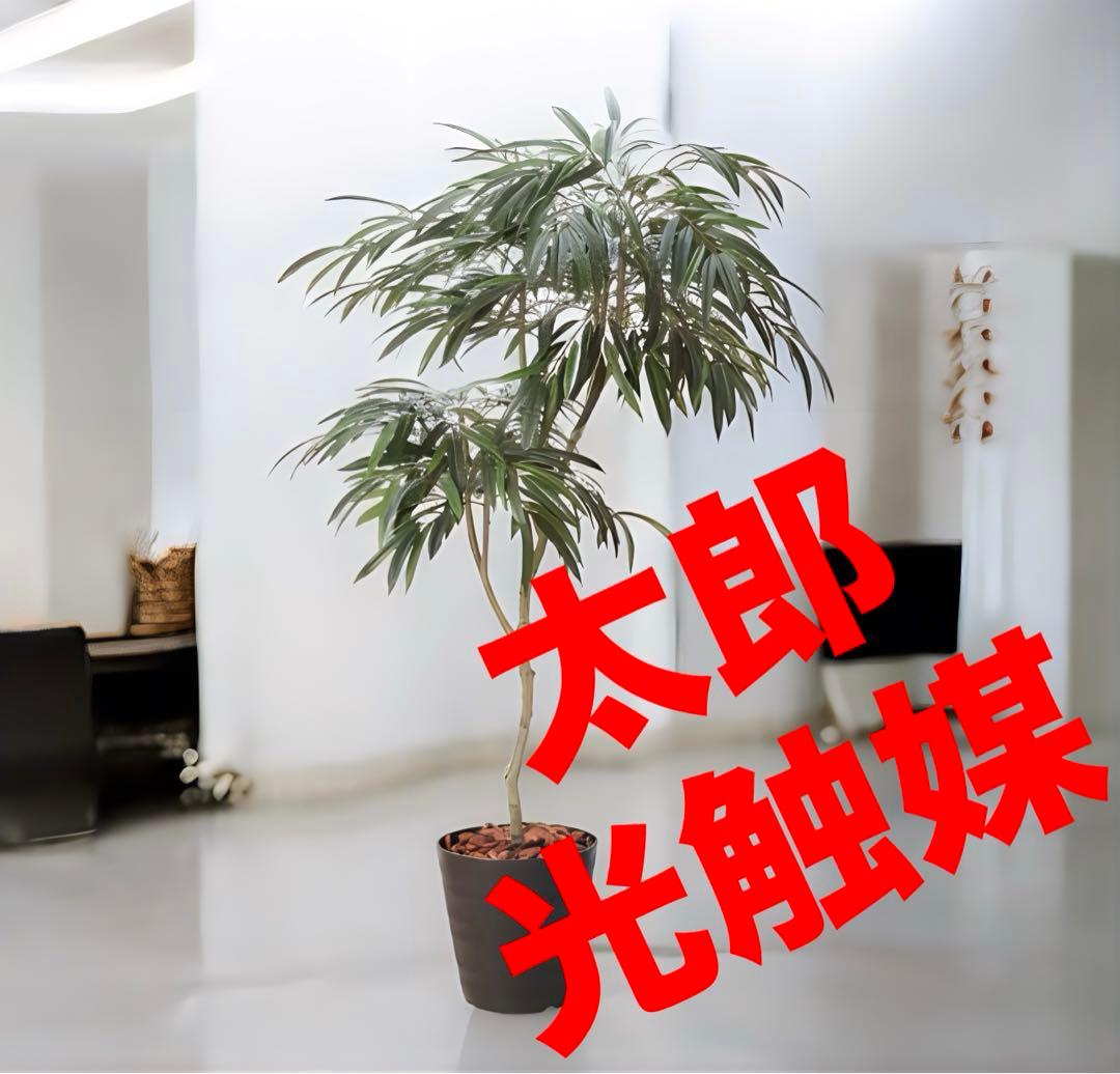 光触媒　人工観葉植物　フェイクグリーン　ショウナンゴムポット180