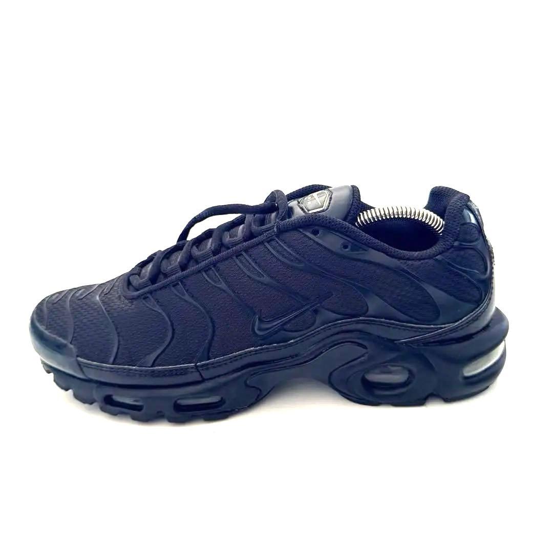 ナイキ　エアマックスプラス　トリプルブラック NIKE AIR MAX 26㎝