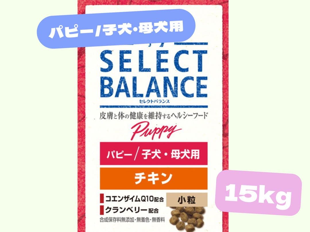 さくら