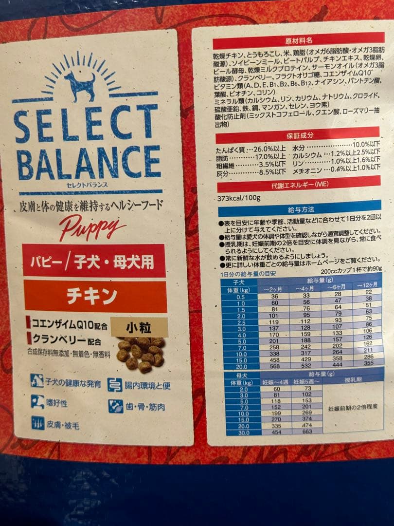 さくら