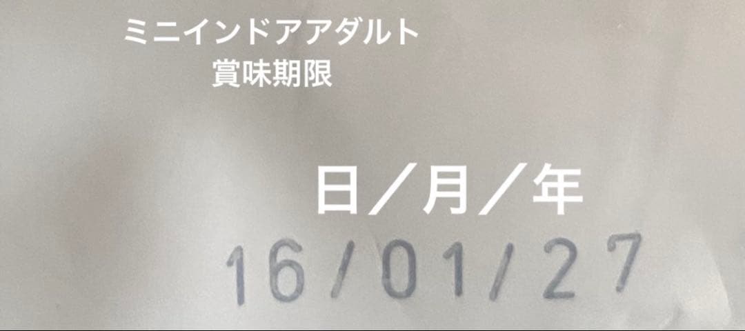 ロイヤルカナン　ミニインドアアダルト　10kg×2袋