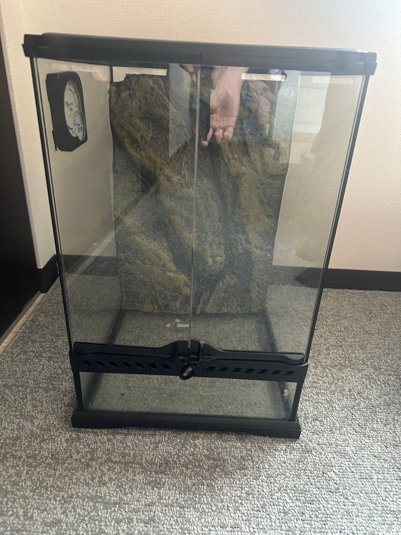 グラステラリウム　3045 直接可