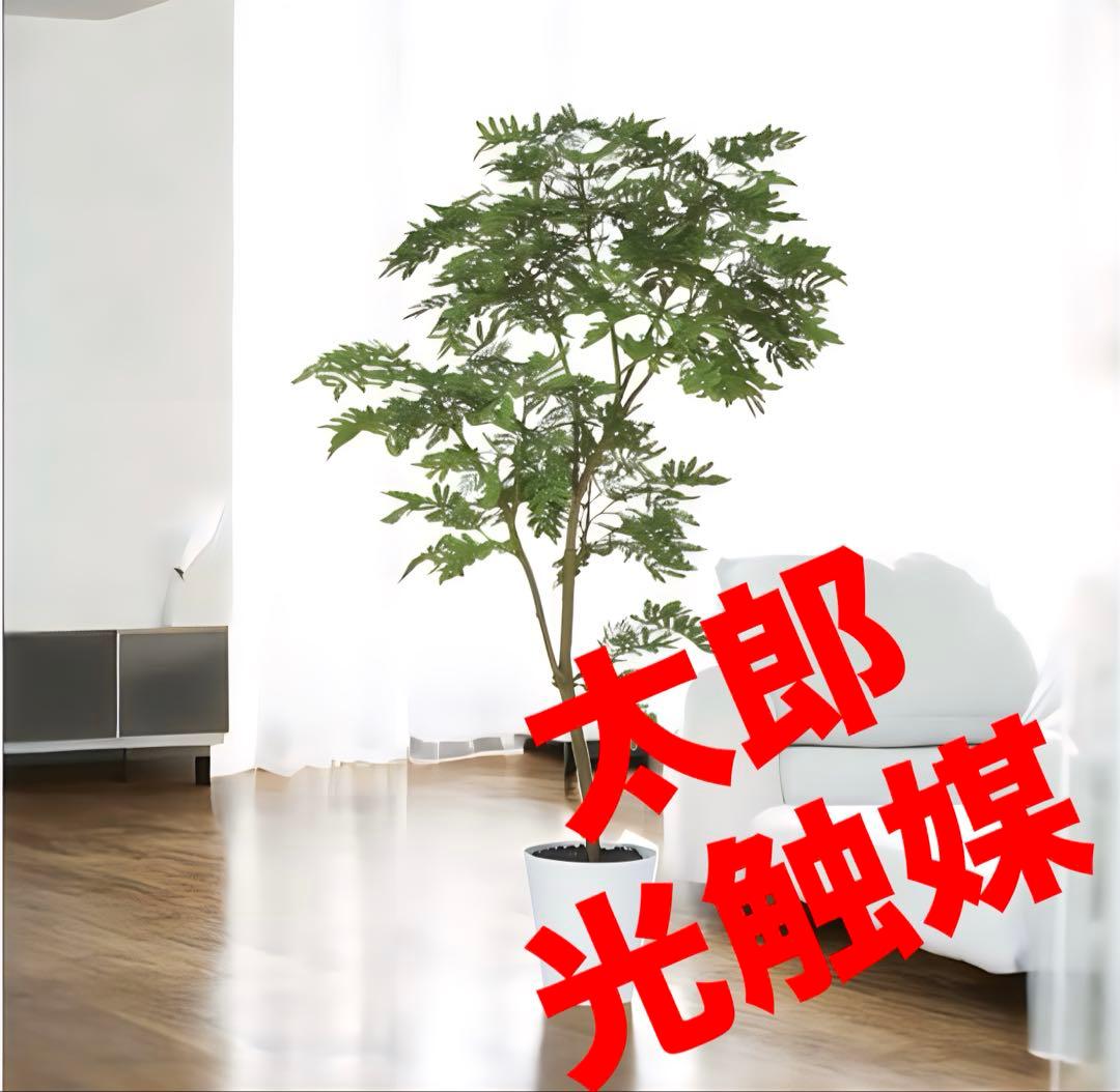 光触媒　人工観葉植物　フェイクグリーン　エバーフレッシュ150FST