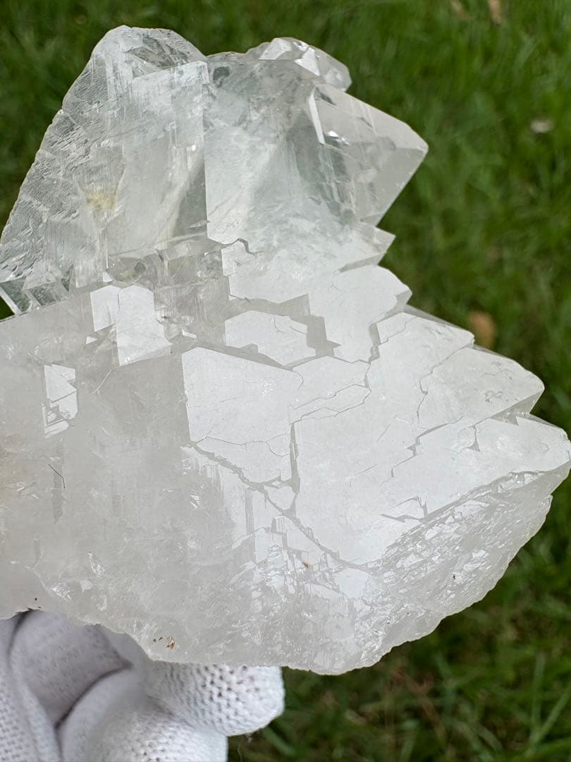 【匿名発送】パキスタン産グインデル