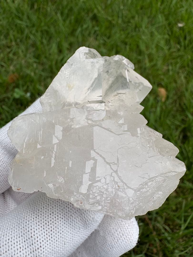 【匿名発送】パキスタン産グインデル