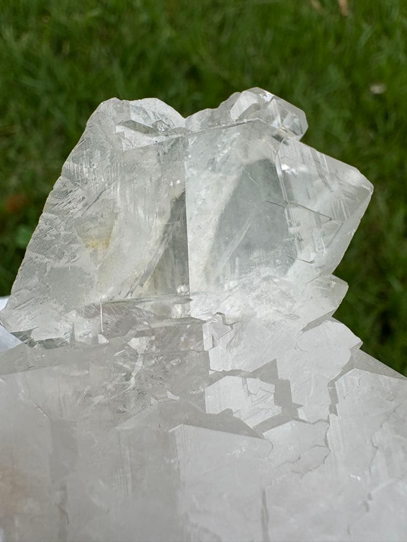 【匿名発送】パキスタン産グインデル