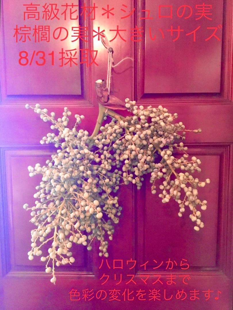 完売　希少＊高級花材【棕櫚の実＊シュロの実】花材/スワッグやリース素材に