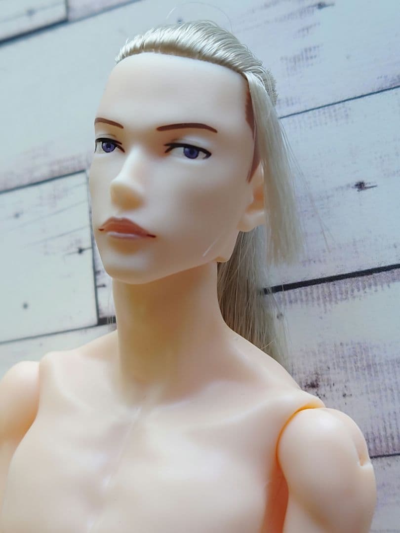 六分の一男子図鑑　ナイン　本体のみ