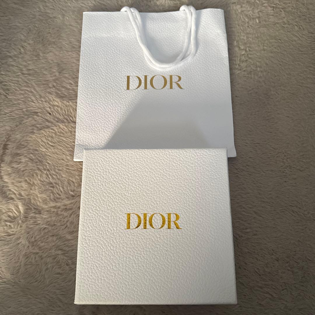 Dior ベルト グレー