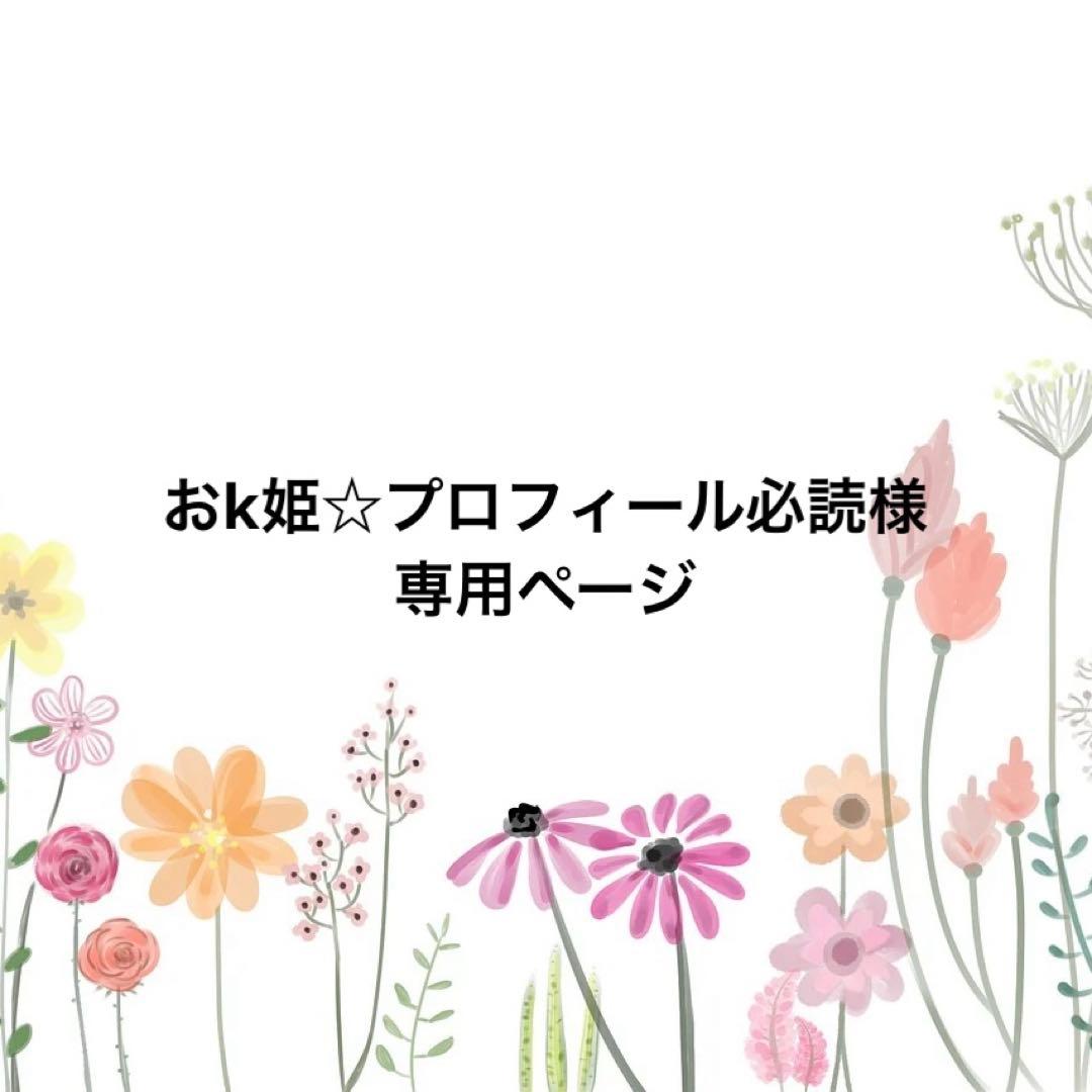 おk姫☆プロフィール必読ページ