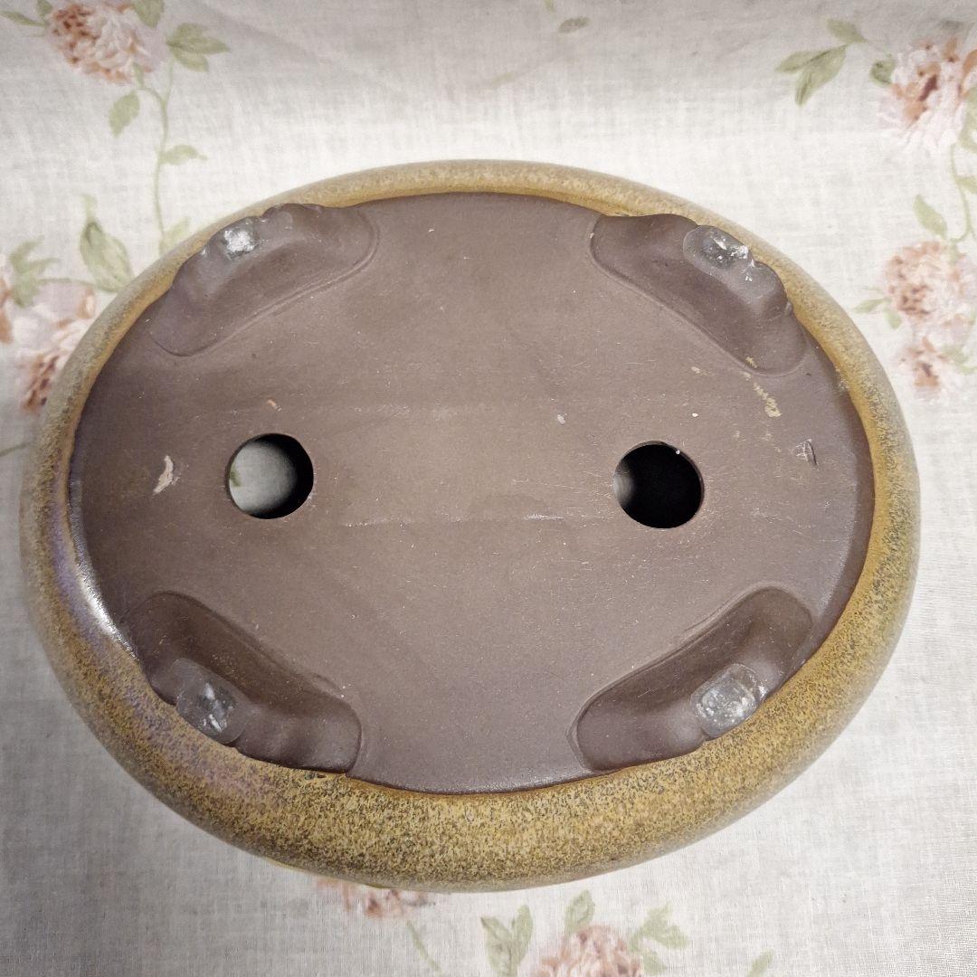 鉢・プランター WD.com1