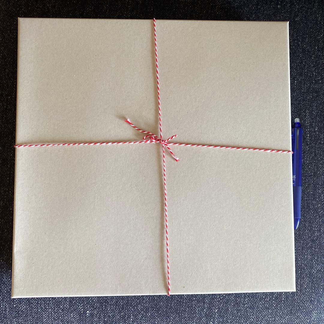 辻和美さん　てんてん　特大皿　factory zoomer