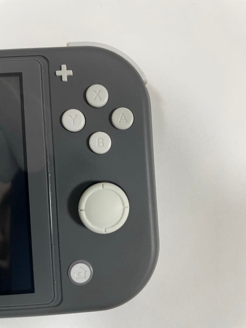 画面キズ有・Switch Lite ・グレー・希望でオマケ付