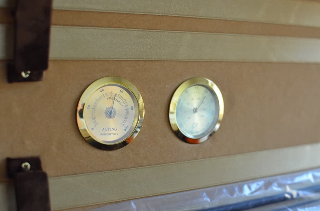 【新品】Gliga Cristian Maestro 4/4 そうちゃん