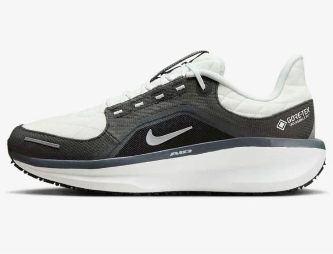 ナイキ ウィンフロー 11 ゴアテックス