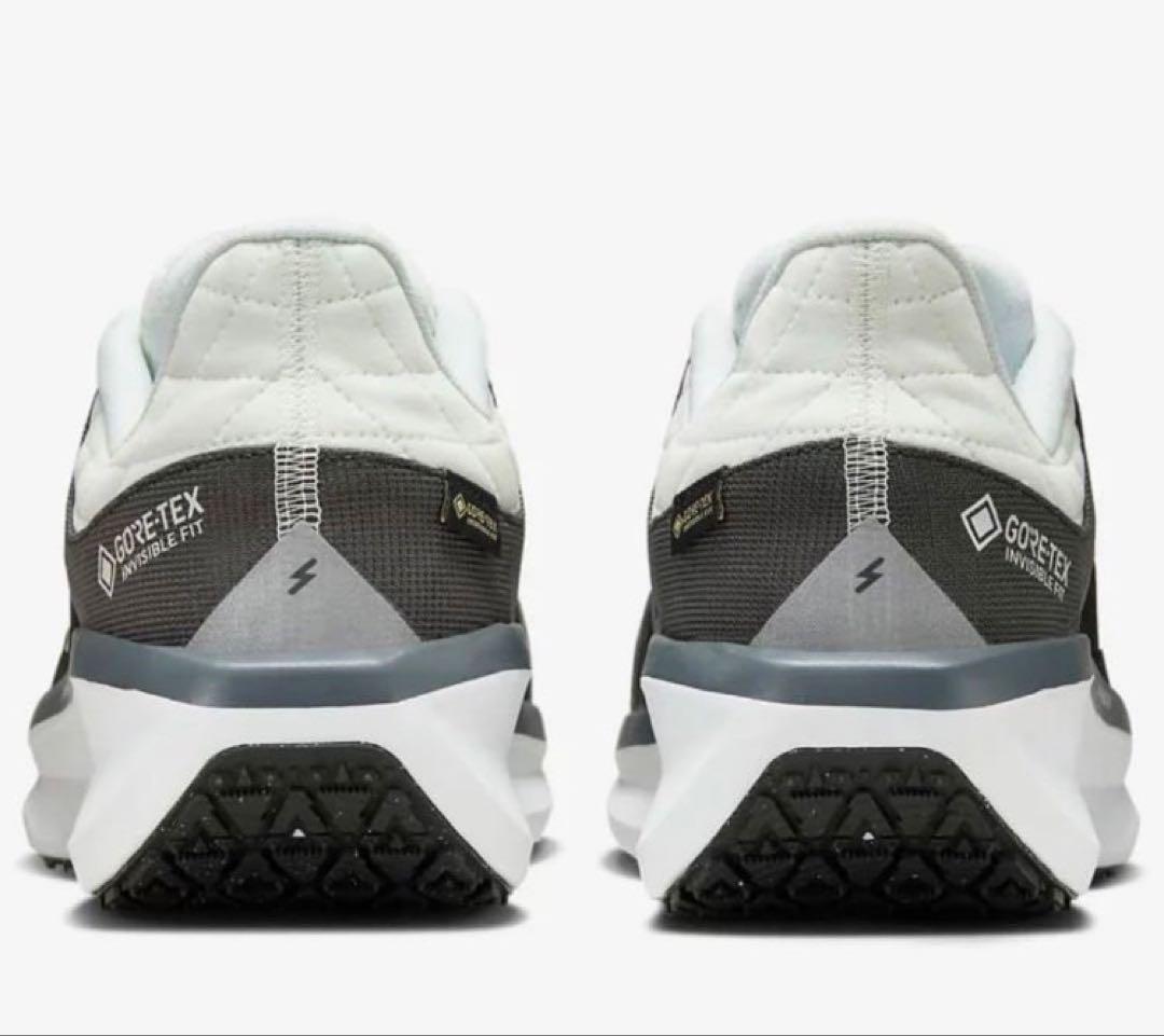 ナイキ ウィンフロー 11 ゴアテックス