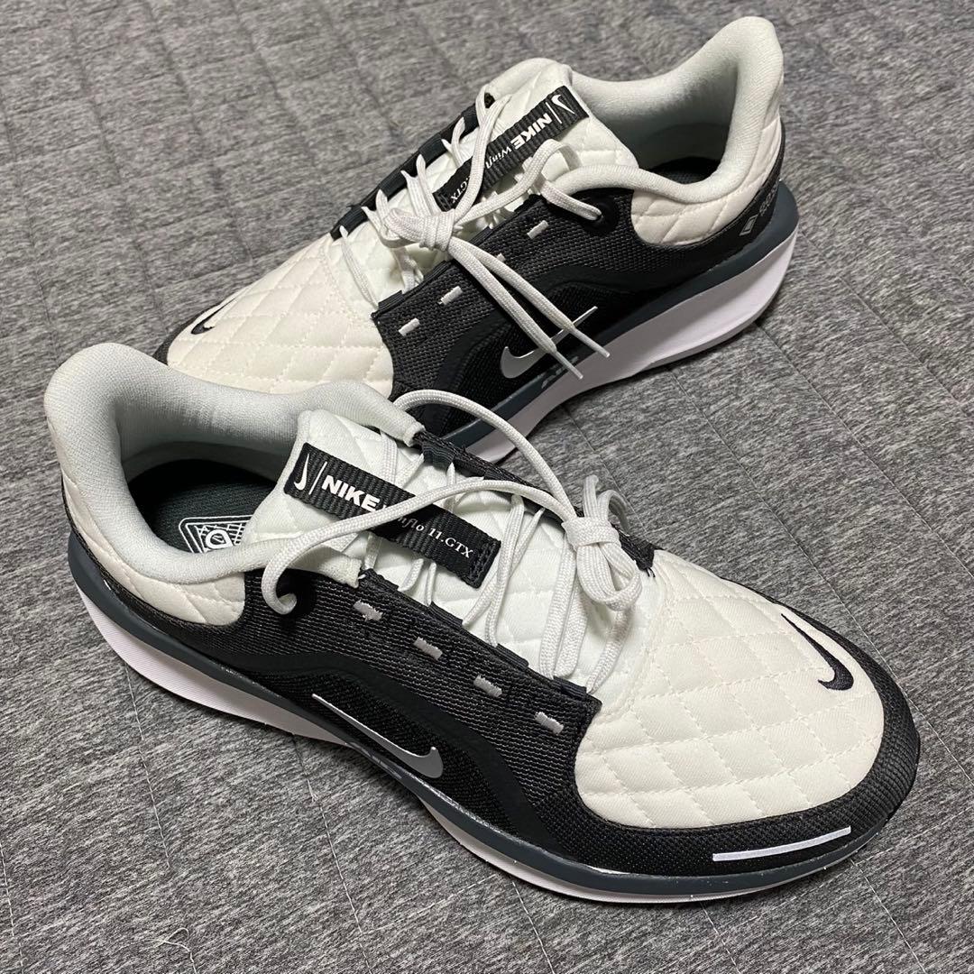 ナイキ ウィンフロー 11 ゴアテックス