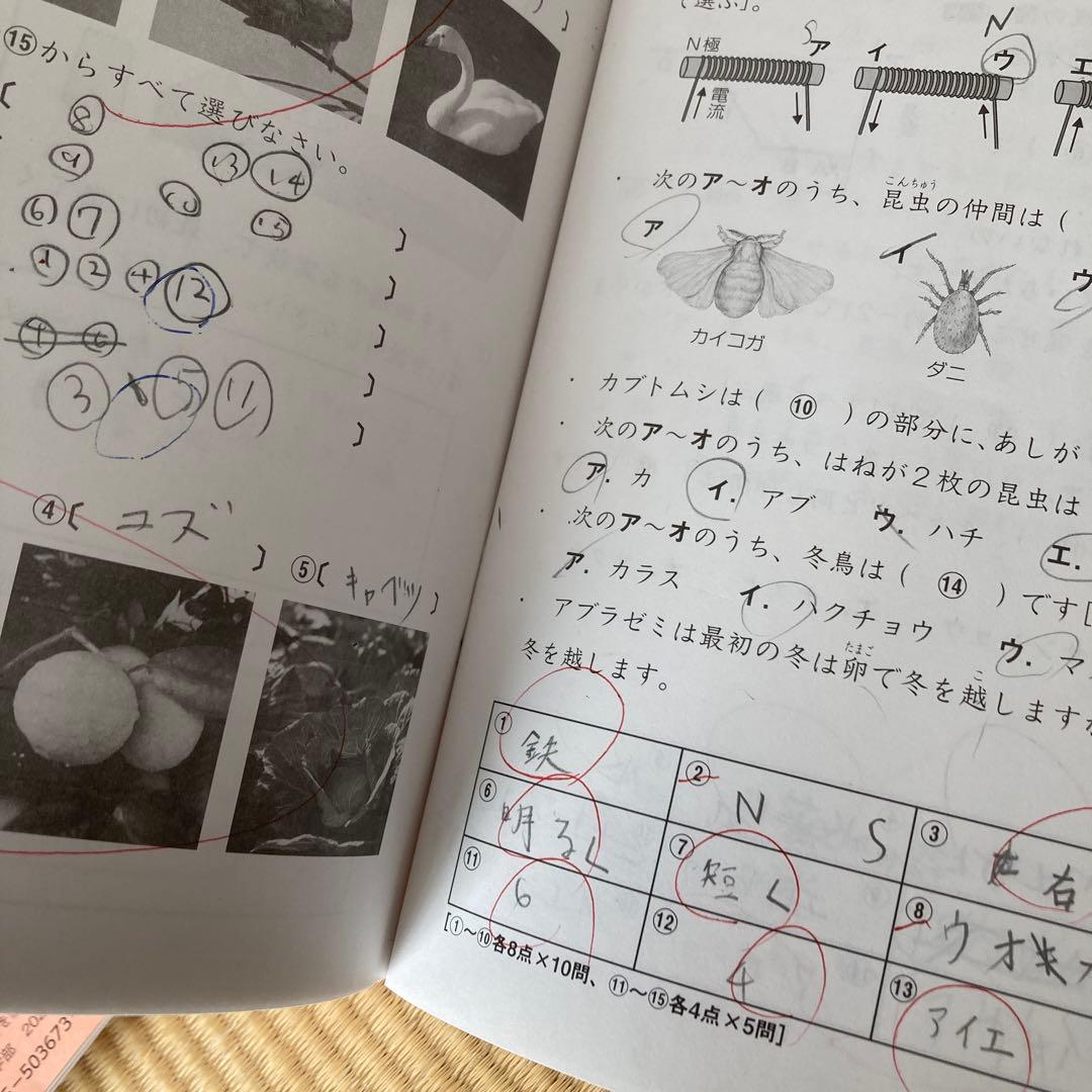 SAPIXサピックス　5年生理科テキスト1年間分フルセット