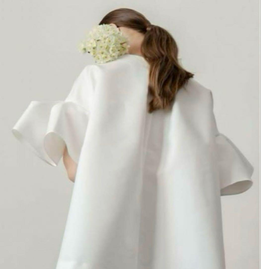 新品未使用　heve 完売　フィンスリーブ