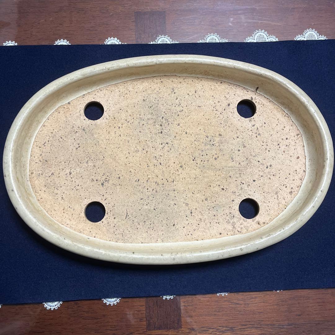 白交趾(水盤)　植木鉢