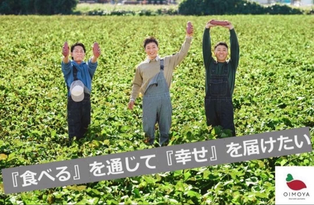 【予約受付中】紅はるか苗☆ウイルスフリー 1,400本 5月上旬から発送開始