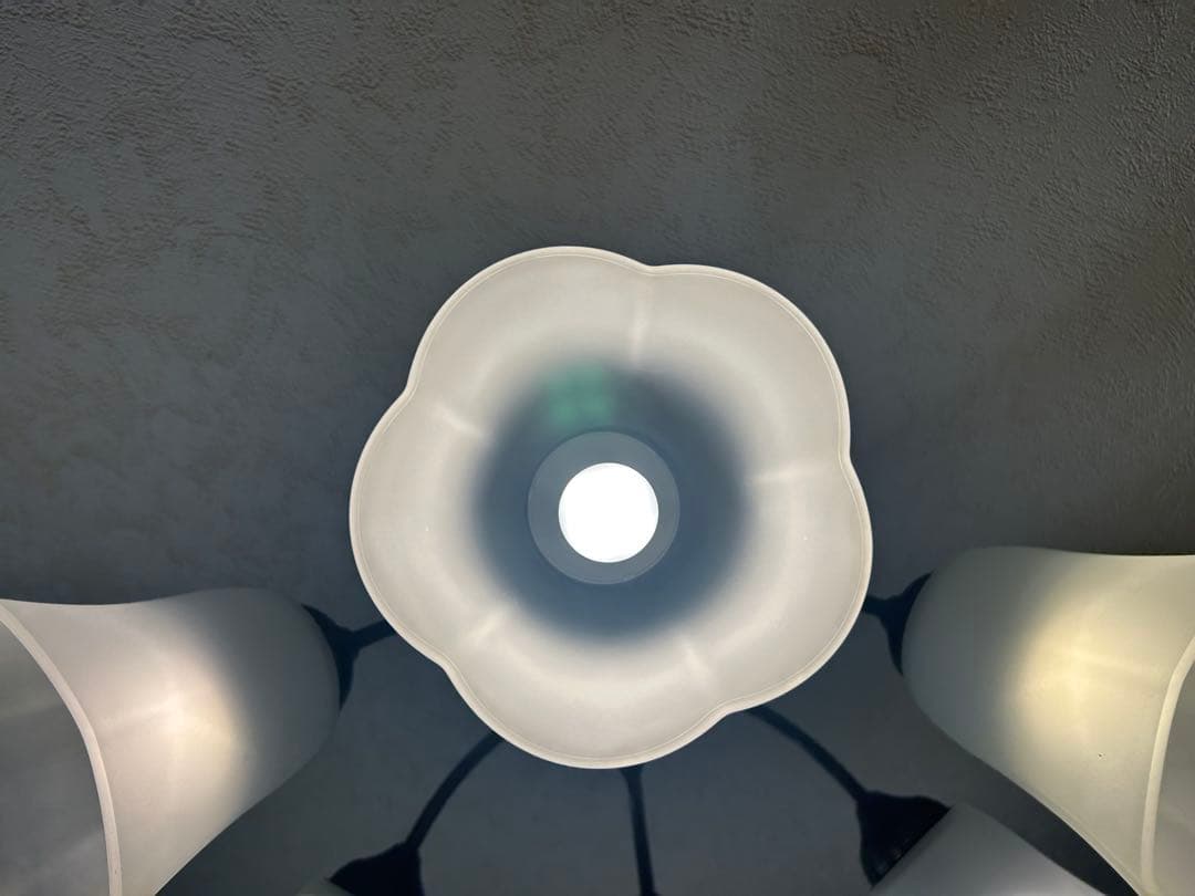 フラワー型シャンデリア 6灯 ホワイト