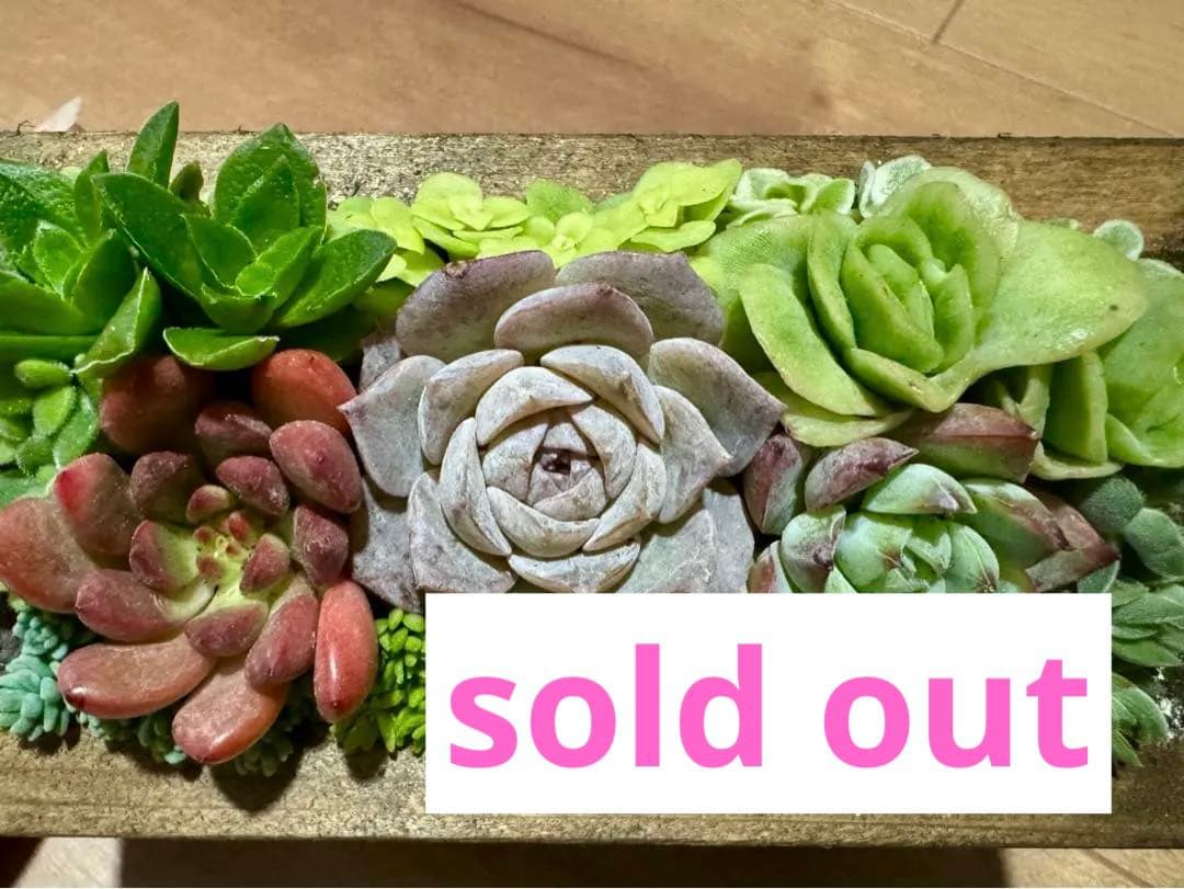 多肉植物 寄せ植え 木箱 アイスローズ ステンシル 木工 ちまちま寄せ