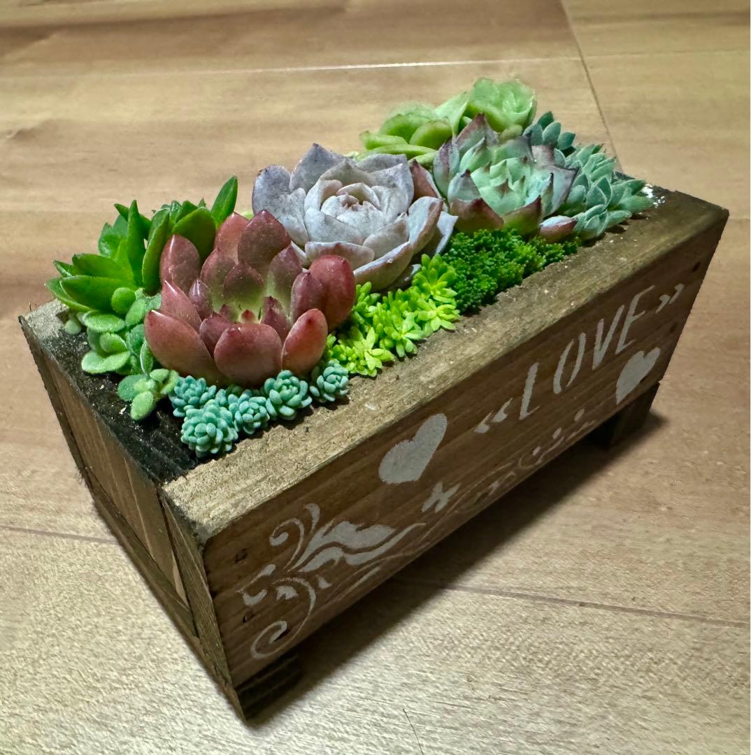 多肉植物 寄せ植え 木箱 アイスローズ ステンシル 木工 ちまちま寄せ