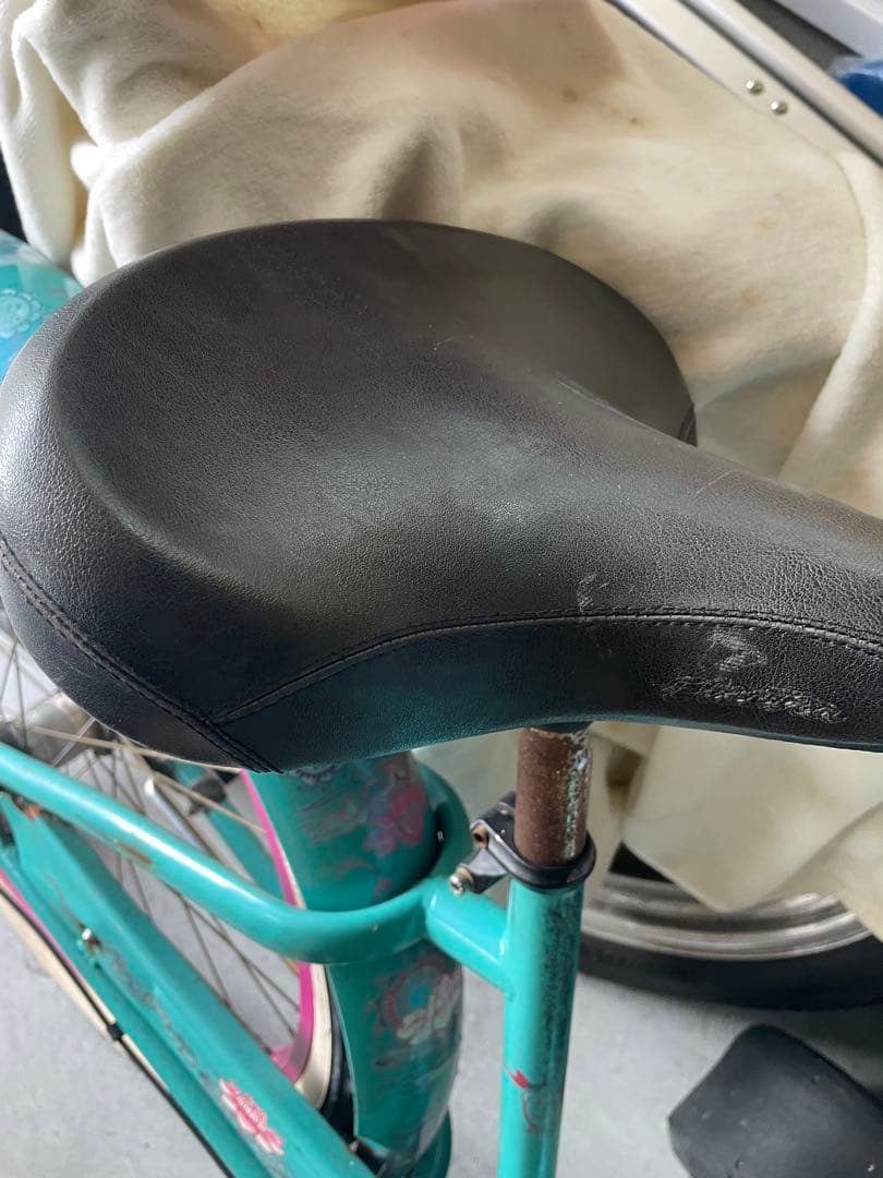 エレクトラ　ビーチクルーザー　蓮の花